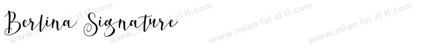 Berlina Signature字体转换